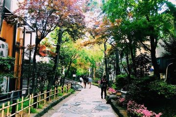 新宿遊歩道