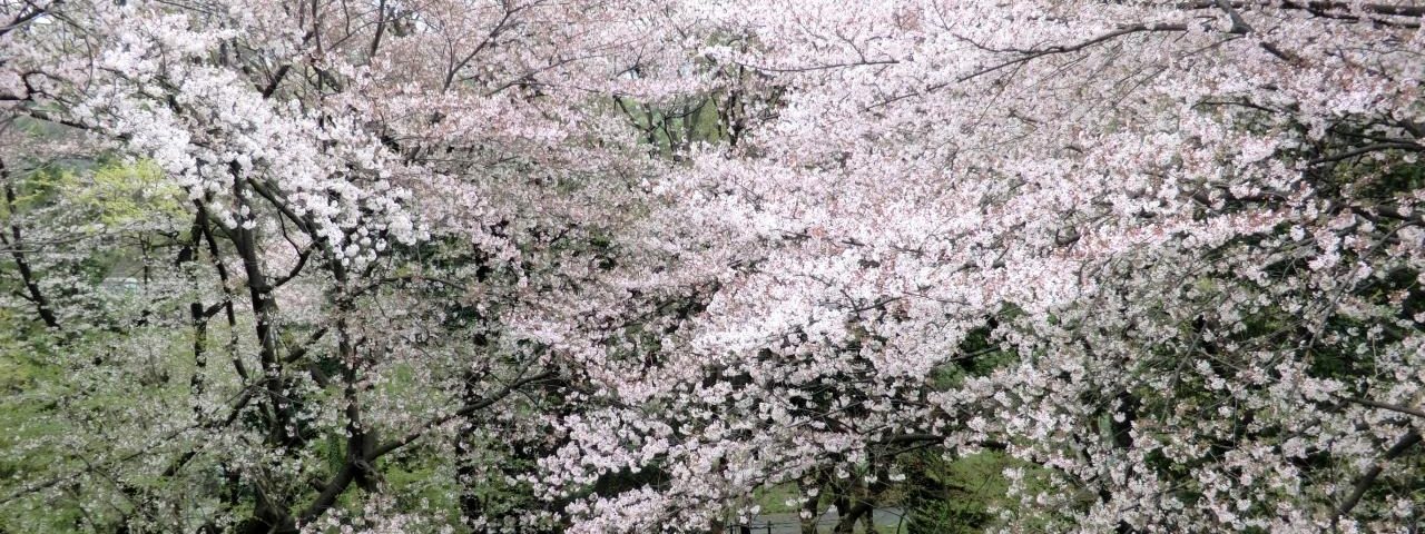 戸山公園