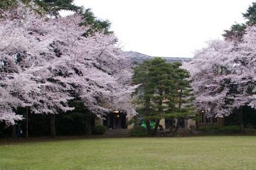 駒場公園