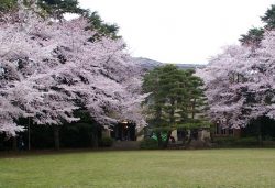 駒場公園