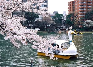 上野恩賜公園