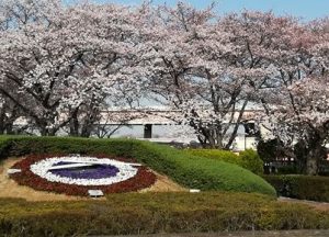 小菅西公園