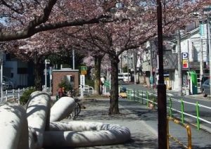 蓮根川緑道（へび公園）