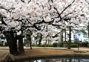 板橋区平和公園