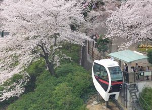 飛鳥山公園