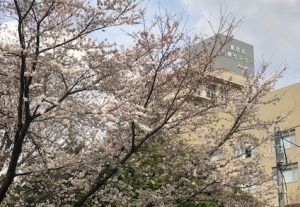 東京北医療センター前道路