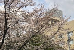 東京北医療センター前道路