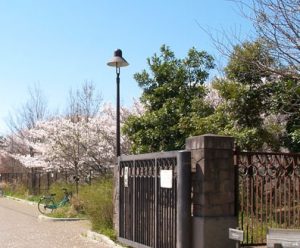 赤羽自然観察公園