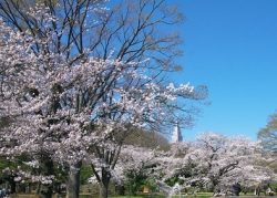 代々木公園