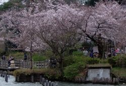 洗足池公園