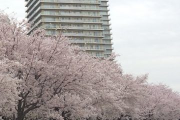 多摩川ガス橋