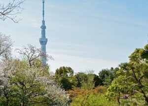 向島百花園