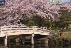 浜離宮恩賜庭園