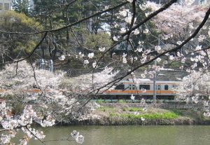 外濠公園