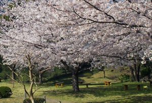 旧芝離宮恩賜庭園