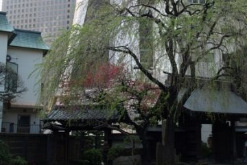 常円寺