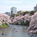 千鳥ヶ淵公園