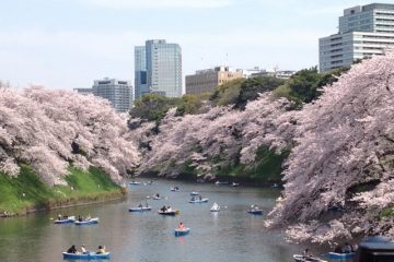 千鳥ヶ淵公園