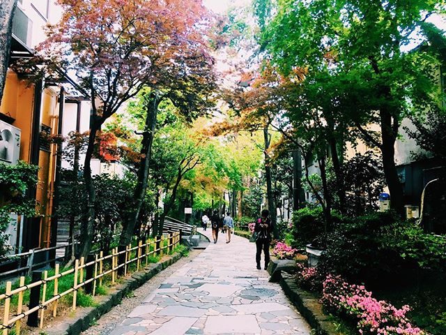 新宿遊歩道