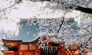 花園神社