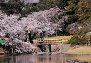 小石川後楽園