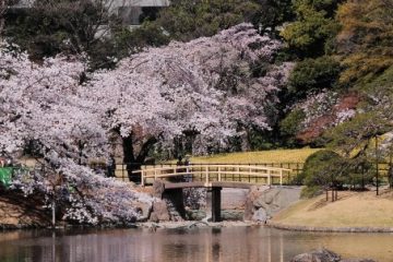 小石川後楽園