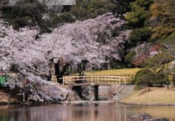 小石川後楽園