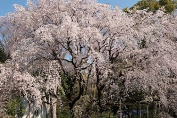 六義園