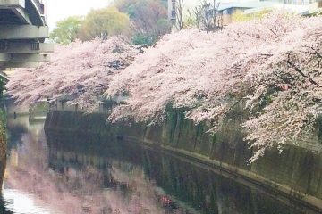 江戸川公園