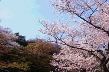 肥後細川庭園