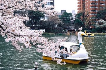 上野恩賜公園