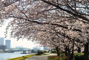 越中島公園