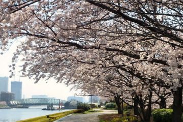 越中島公園