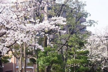 牡丹町公園