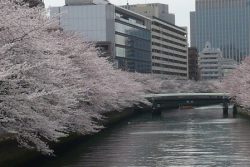 小名木川