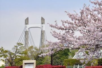 洲崎川緑道公園