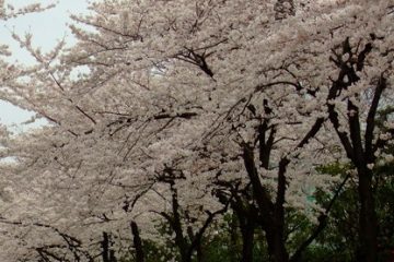 荒川総合スポーツセンター