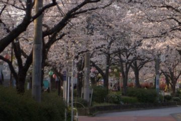 かんかん森商興会