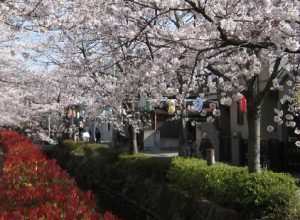 葛西用水親水水路