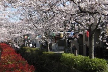 葛西用水親水水路