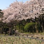 しょうぶ沼公園