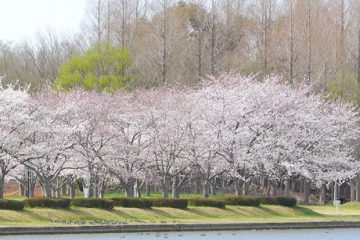 水元公園