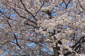 水元スポーツセンター公園