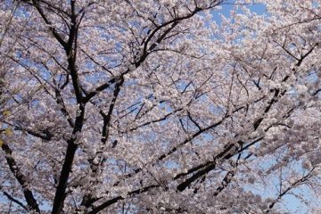 小菅東スポーツ公園