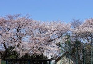 小豆沢公園