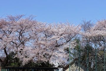 小豆沢公園