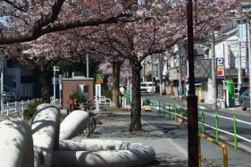 蓮根川緑道（へび公園）