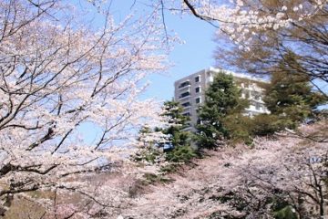 春の風公園