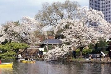 都立石神井公園