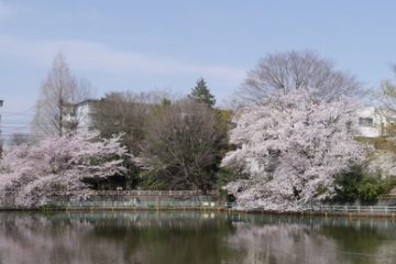 武蔵関公園